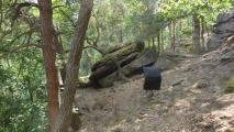 Min_Vieux-Gueberschwihr-003.jpg