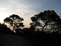 Min_Week-End-Esterel-032.jpg