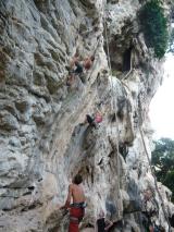 Min_Wild-Kingdom-003.jpg