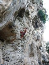 Min_Wild-Kingdom-004.jpg