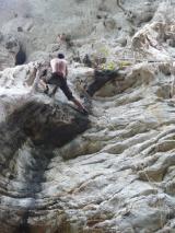 Min_Wild-Kingdom-011.jpg