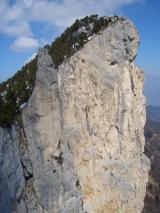 Min_Yann-Phonie-016.jpg