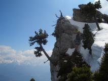 Min_Yann-Phonie-033.jpg