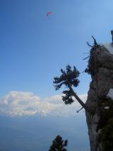 Min_Yann-Phonie-035.jpg