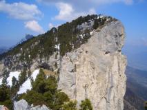 Min_Yann-Phonie-036.jpg