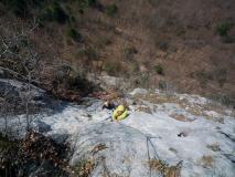 Min_Zebra-009.jpg