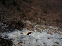 Min_Zebra-010.jpg