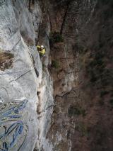 Min_Zebra-015.jpg