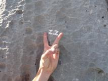 Min_Zigo-Zago-013.jpg
