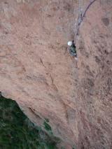Min_Zulu-Demente-003.jpg