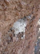 Min_Zulu-Demente-015.jpg