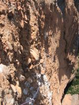 Min_Zulu-Demente-016.jpg