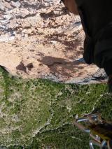 Min_Zulu-Demente-017.jpg