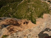 Min_Zulu-Demente-019.jpg