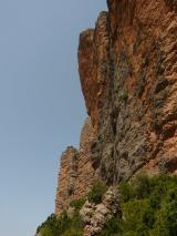 Min_Zulu-Demente-020.jpg