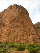 Min_Zulu-Demente-026.jpg