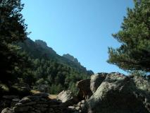 Min_aiguille-de-bavella-14.jpg