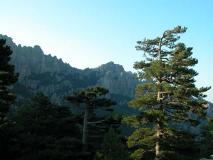 Min_aiguille-de-bavella-5.jpg