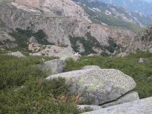 Min_chevre-38.jpg