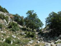 Min_descente-bianca-37.jpg