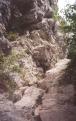 Min_fayet-3.jpg