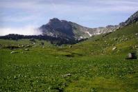 Min_traversee-chartreuse5.jpg