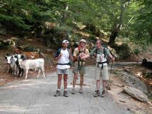 Min_vache-19.jpg