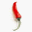 chili
