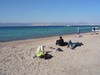 Snorkeling à Aqaba...