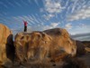 Joshua Tree