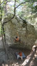 Min_Annot-009.jpg