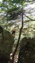 Min_Annot-010.jpg