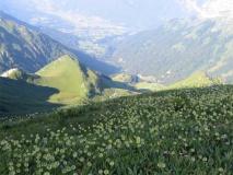 Min_Arcalod-009.jpg