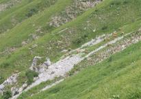Min_Arcalod-020.jpg