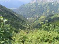 Min_Arcalod-024.jpg