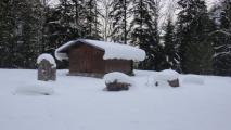 Min_Beau-Molard-001.jpg