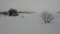Min_Beau-Molard-004.jpg