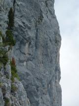 Min_Bille-De-Clown-019.jpg