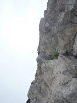 Min_Bille-De-Clown-029.jpg