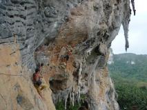 Min_Cat-Wall-001.jpg