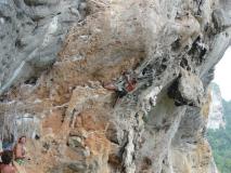 Min_Cat-Wall-002.jpg