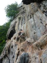 Min_Cat-Wall-003.jpg