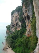 Min_Cat-Wall-005.jpg