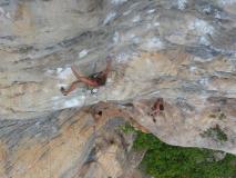 Min_Cat-Wall-006.jpg