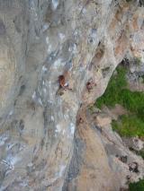 Min_Cat-Wall-007.jpg