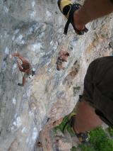 Min_Cat-Wall-008.jpg