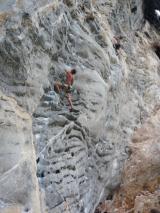 Min_Cat-Wall-009.jpg