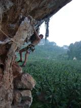 Min_Cat-Wall-010.jpg