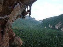 Min_Cat-Wall-011.jpg