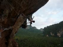Min_Cat-Wall-012.jpg